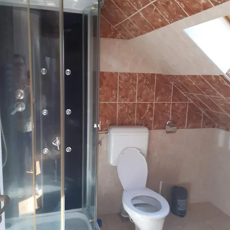 Ueveghid Vendeghaz Pensionat 3*